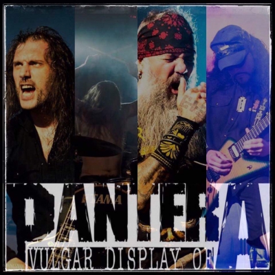 Vulgar Display Of Pantera